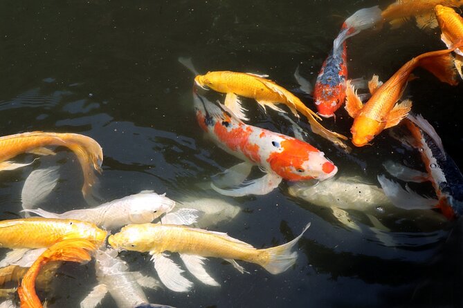 Imperial Palace East Garden and Edo Castle Walking Tour in Tokyo - Walking conditions, timing, and group size