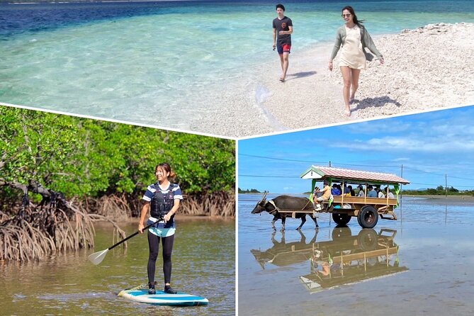 Iriomote 1 Day Mangrove SUP/Canoe, Barasu Island & Yubu Island - How much physical effort should you expect?