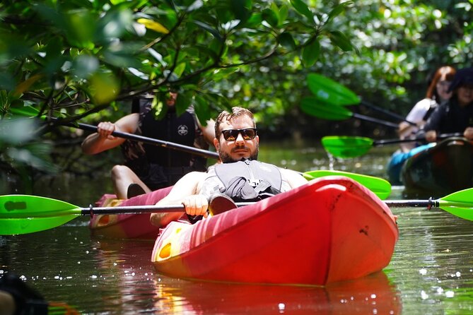 Iriomote Island 1-Day Snorkeling & Mangrove SUP or Canoe - At a Glance: What Makes This Tour Useful