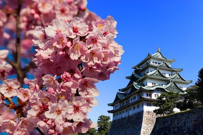 Ise’s Sacred Shrines and Captivating Coastlines - From Nagoya - Meeting the sea at Meotoiwa Rocks