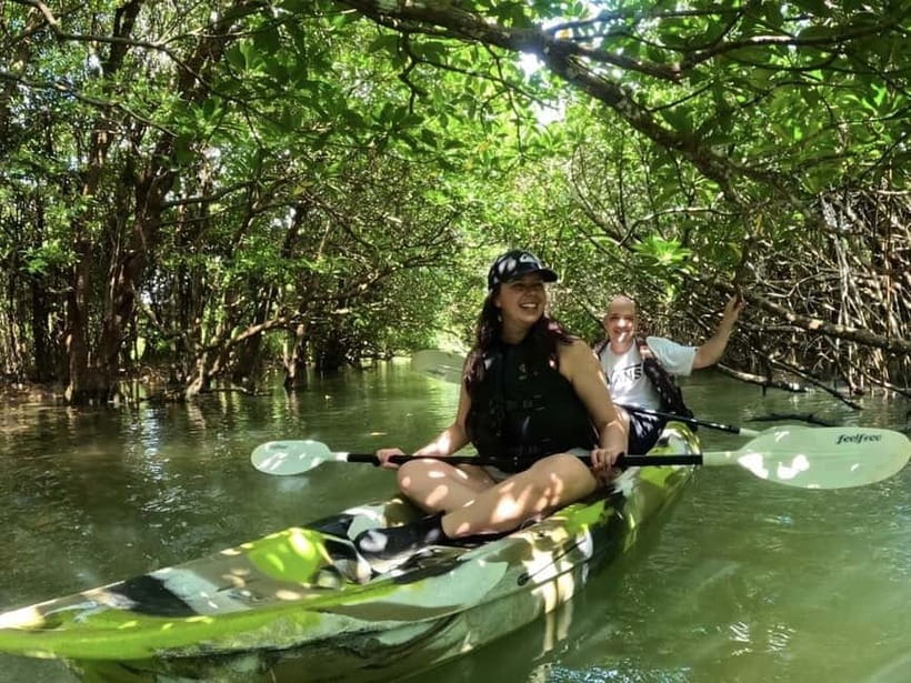 Ishigaki Island: 2-Hour Miyara River SUP or Canoeing Tour - At a glance: what makes this river tour worthwhile
