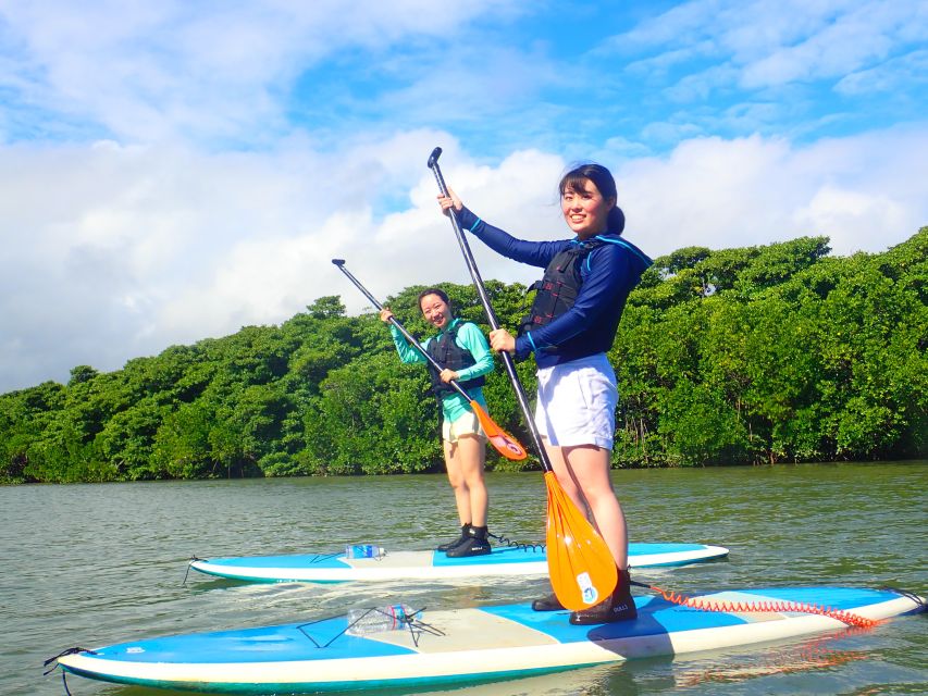 Ishigaki Island: 2-Hour Miyara River SUP or Canoeing Tour - Practical booking advice for Ishigaki