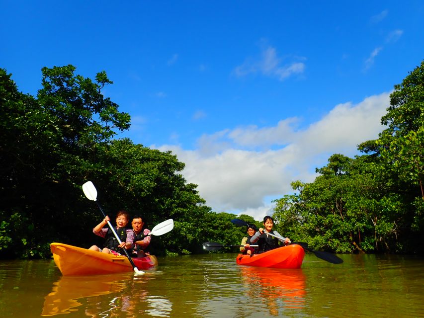 Ishigaki Island: 2-Hour Miyara River SUP or Canoeing Tour - Why the Miyara River is a good choice on Ishigaki