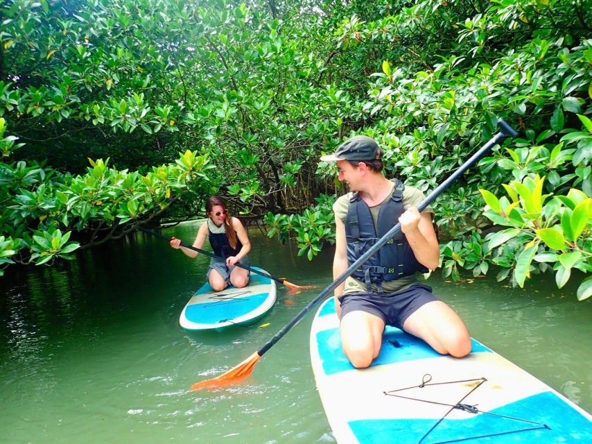 Ishigaki Island: 2-Hour Miyara River SUP or Canoeing Tour - Paddling beneath the mangrove canopy