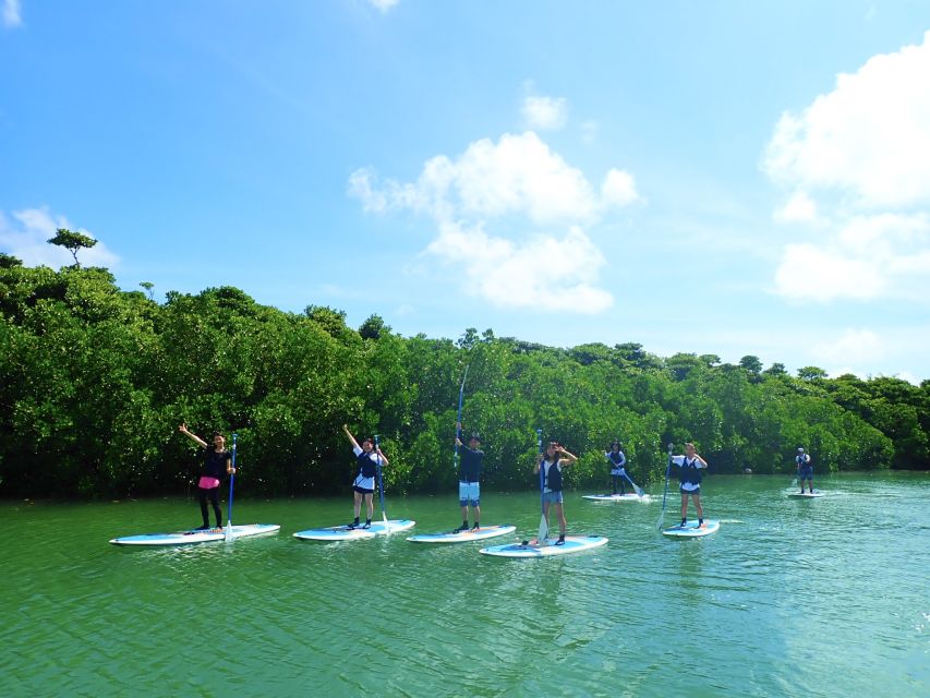 Ishigaki Island: 2-Hour Miyara River SUP or Canoeing Tour - Language, safety, and the small details that matter