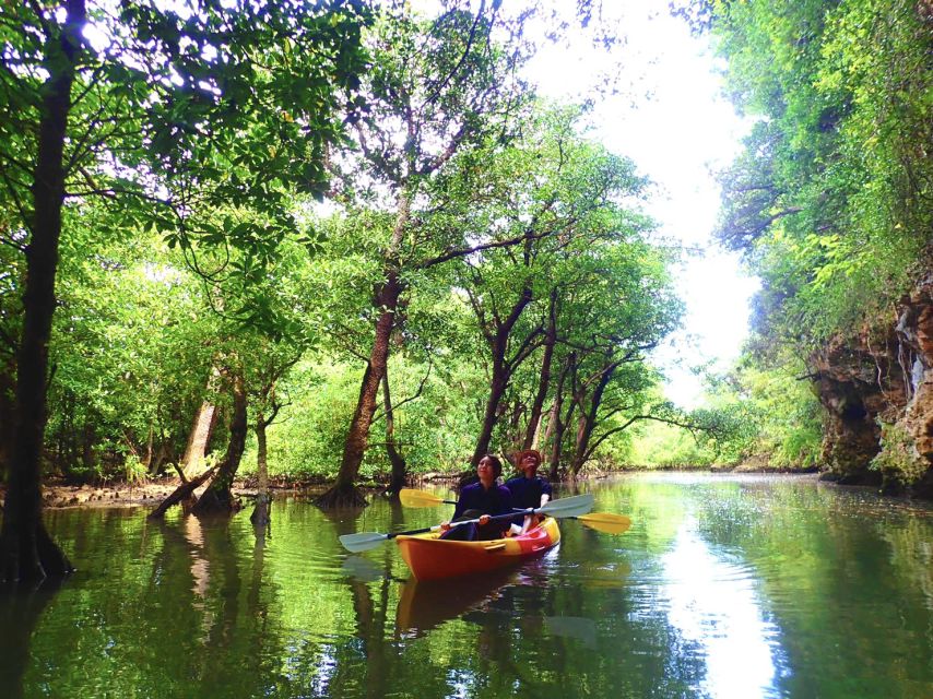 Ishigaki Island: 2-Hour Miyara River SUP or Canoeing Tour - How the $54 price works for you