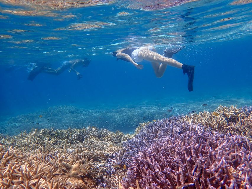 Ishigaki Island: Boat Snorkeling Tour at Phantom Island - Leaving Ishigaki Port by speedboat