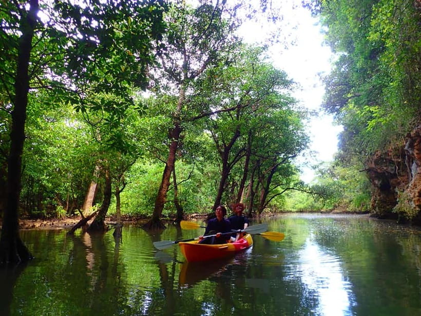 Ishigaki: Mangrove SUP or Canoe & Phantom Island Snorkeling - Snorkeling in Ishigaki’s natural aquarium