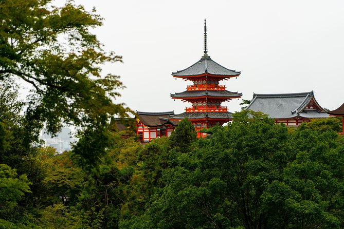 Japan Classic 10 Day - One Life Adventures - Arashiyama and Osaka finish with monkeys, boats, food, and karaoke