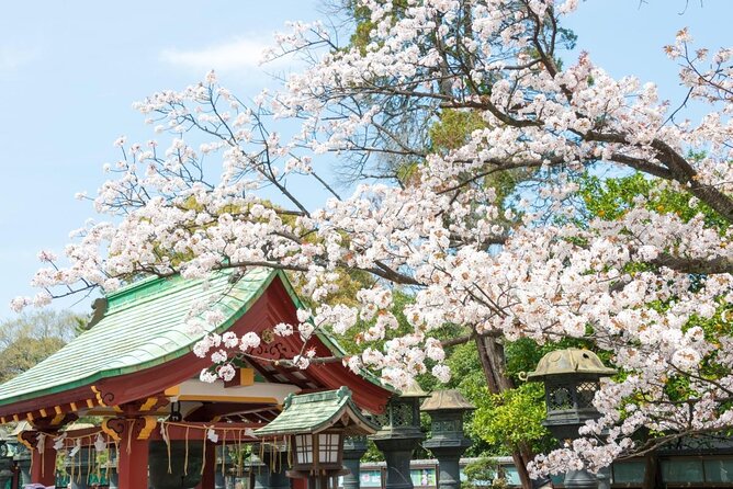 Japanese Food Experience Night Tour in Ueno - Five things to know before booking