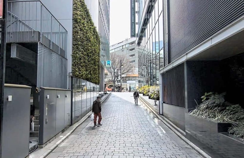 Kabukicho Macabre Tour - the Real Tokyo Vice - Why Kabukicho Makes Such A Good Setting