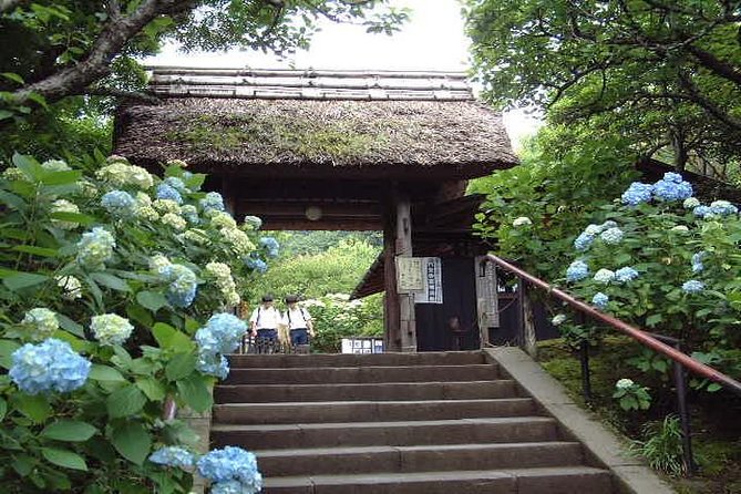 Kamakura 8 hr Private Walking Tour with Licensed Guide from Tokyo - Komachi Street is best used for lunch and small discoveries