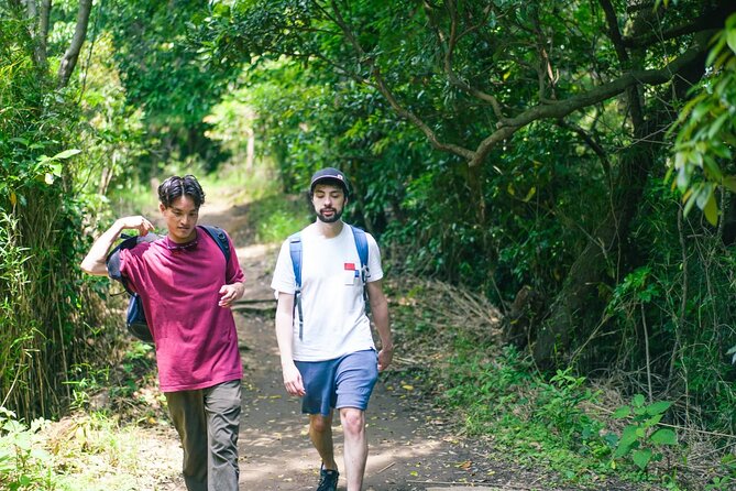 Kamakura Historical Walking Tour with the Great Buddha - The forest trail and Hasedera Temple