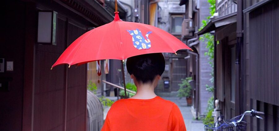 Kanazawa: Half-Day Private Guided Tour - The Samurai District and its earthen walls