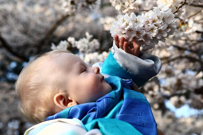 Kanazawa private half day/Photoshoot by professional photographer - What this Kanazawa photo tour is really offering