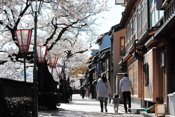 Kanazawa private half day/Photoshoot by professional photographer - Higashi Chaya: Kanazawa’s traditional entertainment quarter