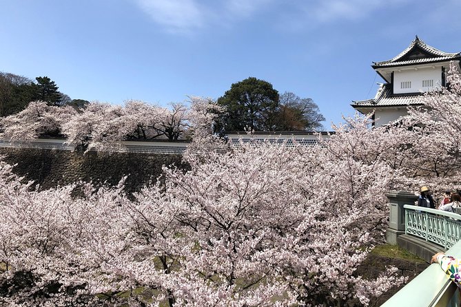 Kanazawa Private Tour: Highlights of an Old Samurai Town - The Guides Are the Main Variable