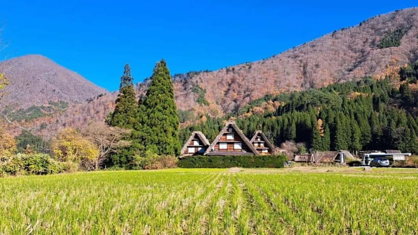 Kanazawa/Takayama: Shirakawago & Takayama Private Day Tour - The guides make the biggest difference