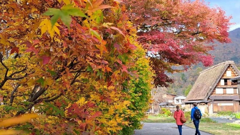 Kanazawa/Takayama: Shirakawago & Takayama Private Day Tour - Why this private route works better than a fixed bus