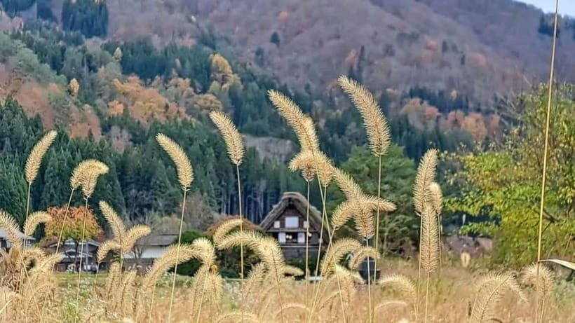 Kanazawa/Takayama: Shirakawago & Takayama Private Day Tour - Crossing the mountains to Shirakawa-go