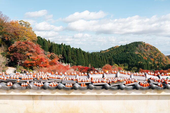 Katsuo-ji Temple, Arashiyama Forest, & Nara Park - What this Osaka day trip actually offers