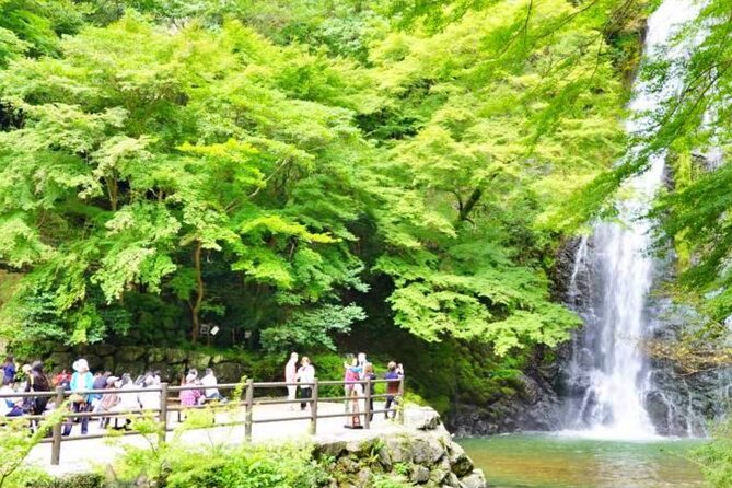 Katsuo-ji Temple, Arashiyama Forest, & Nara Park - Guides can make or break the day
