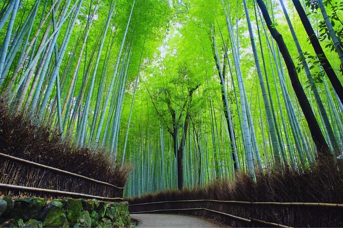 Katsuo-ji Temple, Arashiyama Forest, & Nara Park - Timing, meeting point, and group size