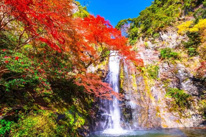 Katsuo-ji Temple, Arashiyama Forest, & Nara Park - Who should book this day trip?