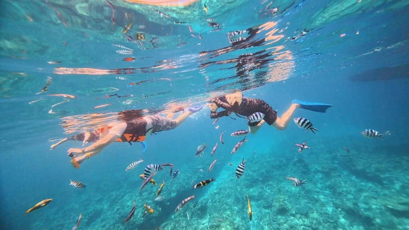 Kerama Half-Day Snorkeling Tour - Equipment and comfort: read the small print