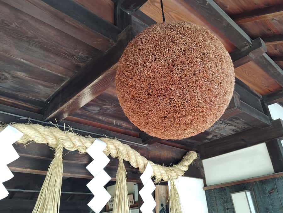 Kobe: 3-Hour Sake Breweries Tour with Special Tasting - Making sense of the sake tasting