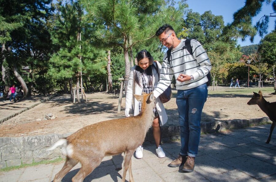 Kobe: Private Walking Shore Excursion- Kyoto/Osaka/Nara/Kobe - Why the guide matters on Japanese trains