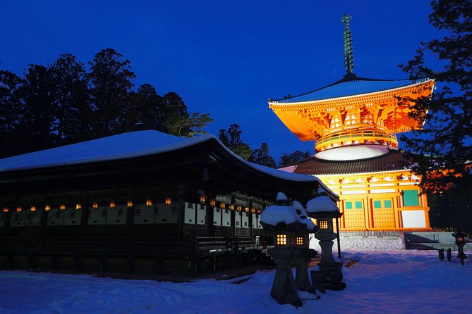 Koyasan Full-Day Private Tour - Walking Okunoin’s cedar-lined cemetery