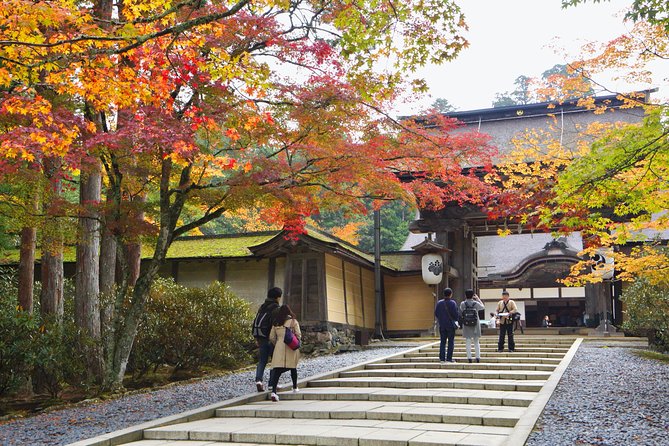 Koyasan Full-Day Private Tour - What the private format is really worth