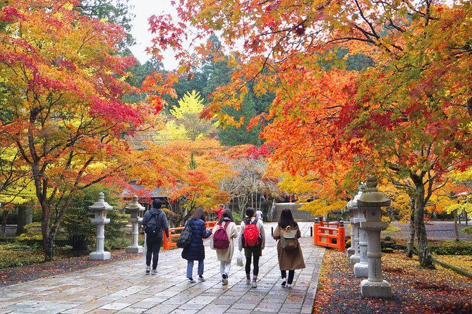 Koyasan Full-Day Private Tour - The guides who shape the day