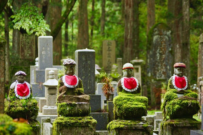 Koyasan Full-Day Private Tour - Who should book this Koyasan tour?