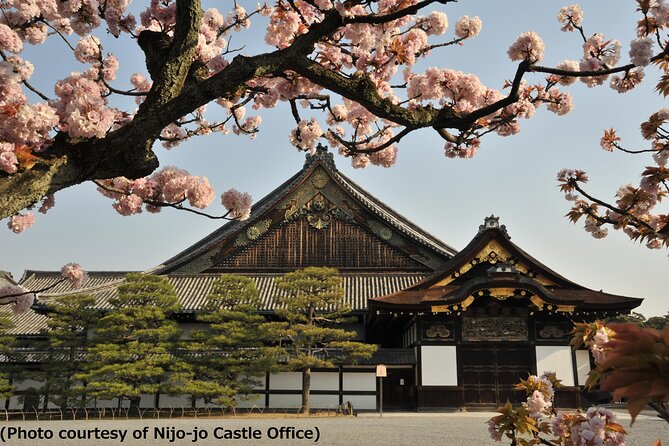 Kyoto 1 Day Tour from Osaka - Key points before you book