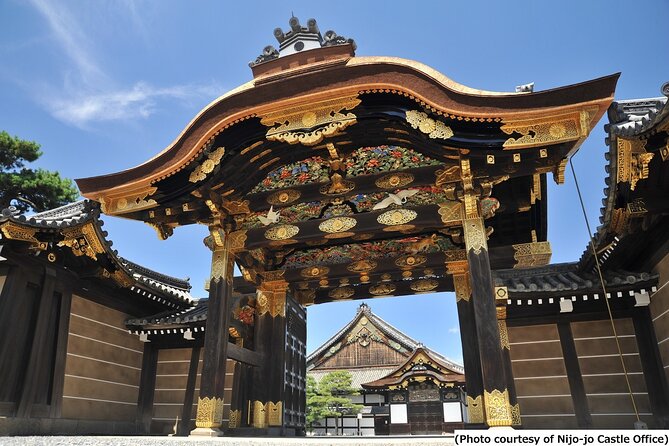 Kyoto 1 Day Tour from Osaka - Nijo Castle: Tokugawa power in wooden form