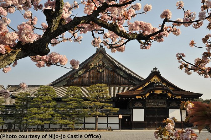 Kyoto 1 Day Tour from Osaka - Kiyomizu-dera and Kyoto from the eastern hills