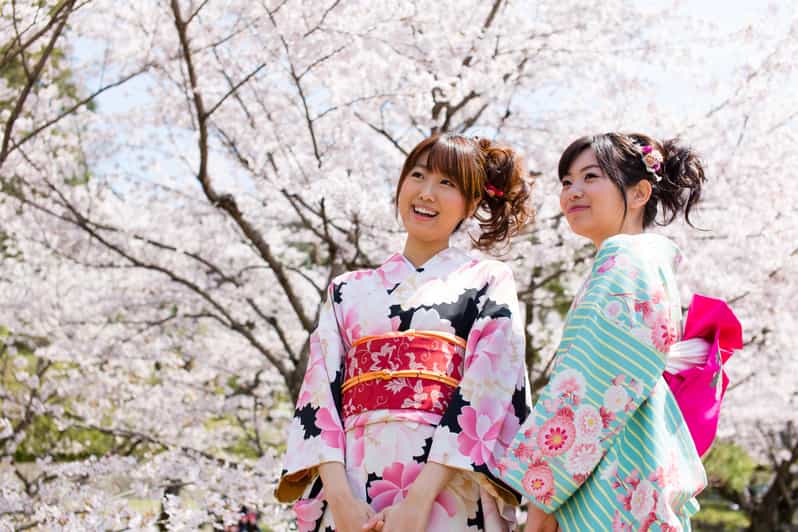 Kyoto: 1 Day Traditional Japanese Kimono Rental Experience - Hairstyling takes the look from plain to polished