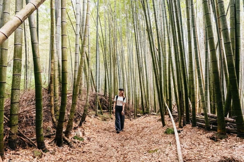 Kyoto: 3-Hour Fushimi Inari Shrine Hidden Hiking Tour - Why this route changes the Fushimi Inari experience