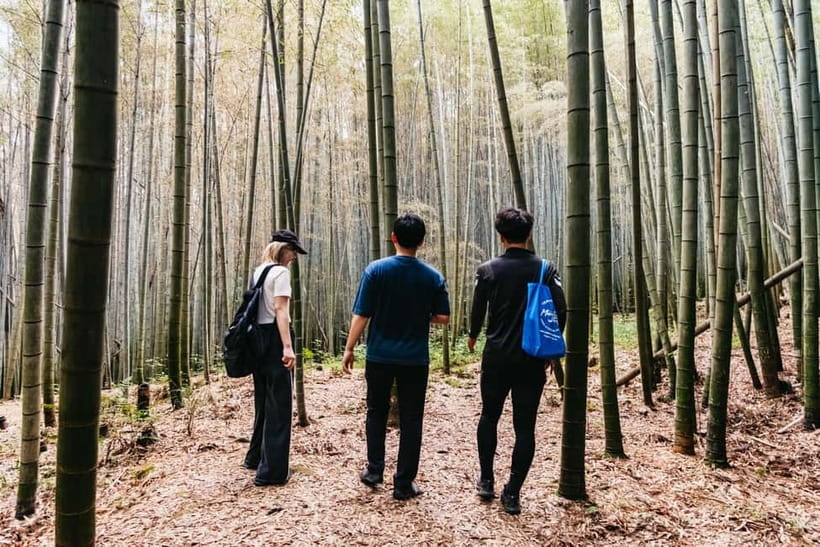 Kyoto: 3-Hour Fushimi Inari Shrine Hidden Hiking Tour - Reaching Mount Inari and its hillside altars