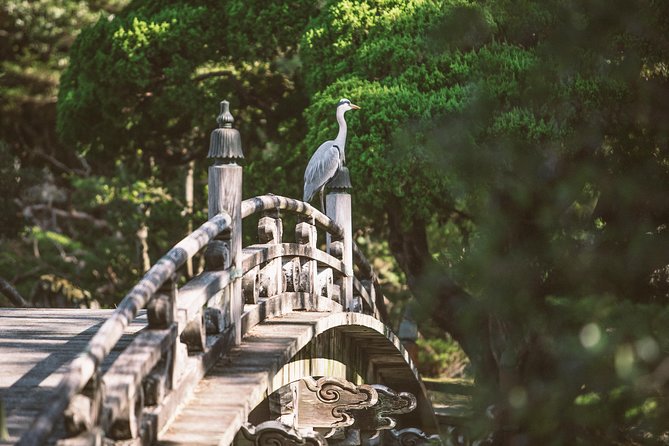 Kyoto and Nara Day Trip from Kyoto - Kyoto Imperial Palace adds ceremony and scale