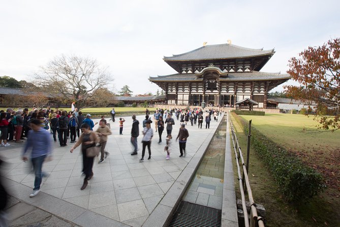 Kyoto and Nara Day Trip from Kyoto - Kasuga Grand Shrine brings you into the forest