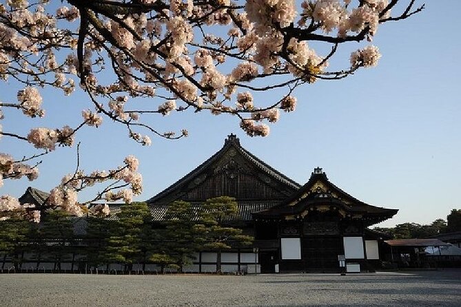 Kyoto and Nara Day Trip from Kyoto - Nara Park and the deer are fun, but stay alert