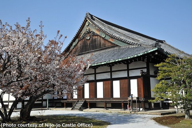 Kyoto and Nara Day Trip from Osaka - Why this Osaka day trip works