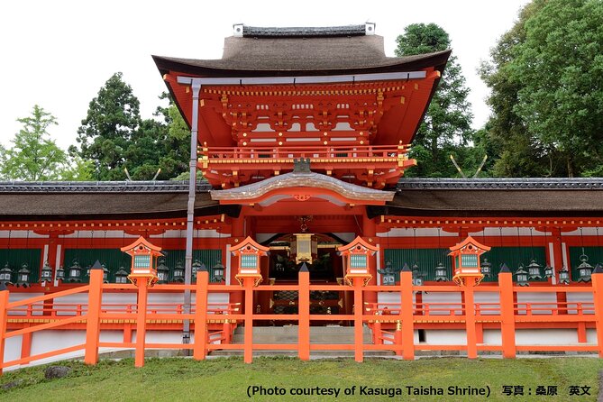 Kyoto and Nara Day Trip from Osaka - Nijo Castle: Tokugawa power in polished wood