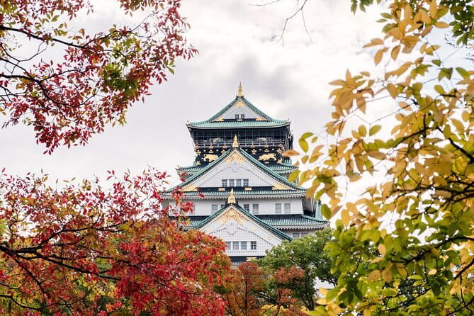 Kyoto and Nara UNESCO Highlights Full-day Tour From Osaka - The Pace, Walking, and Food Plan
