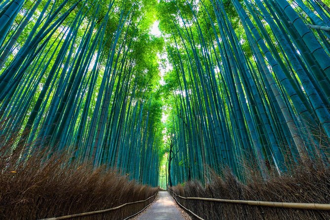 Kyoto Arashiyama Bamboo forest & Garden Half-Day Walking Tour - Why this Arashiyama walk is more than a bamboo-forest stop