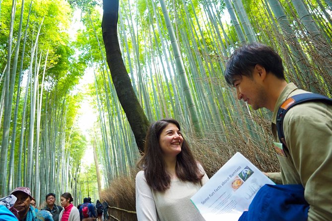 Kyoto Arashiyama Bamboo forest & Garden Half-Day Walking Tour - Hokyoin, a quiet opening to the morning