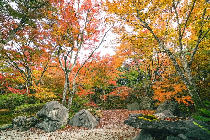 Kyoto Arashiyama Bamboo forest & Garden Half-Day Walking Tour - Sagaogurayama brings the slower pace